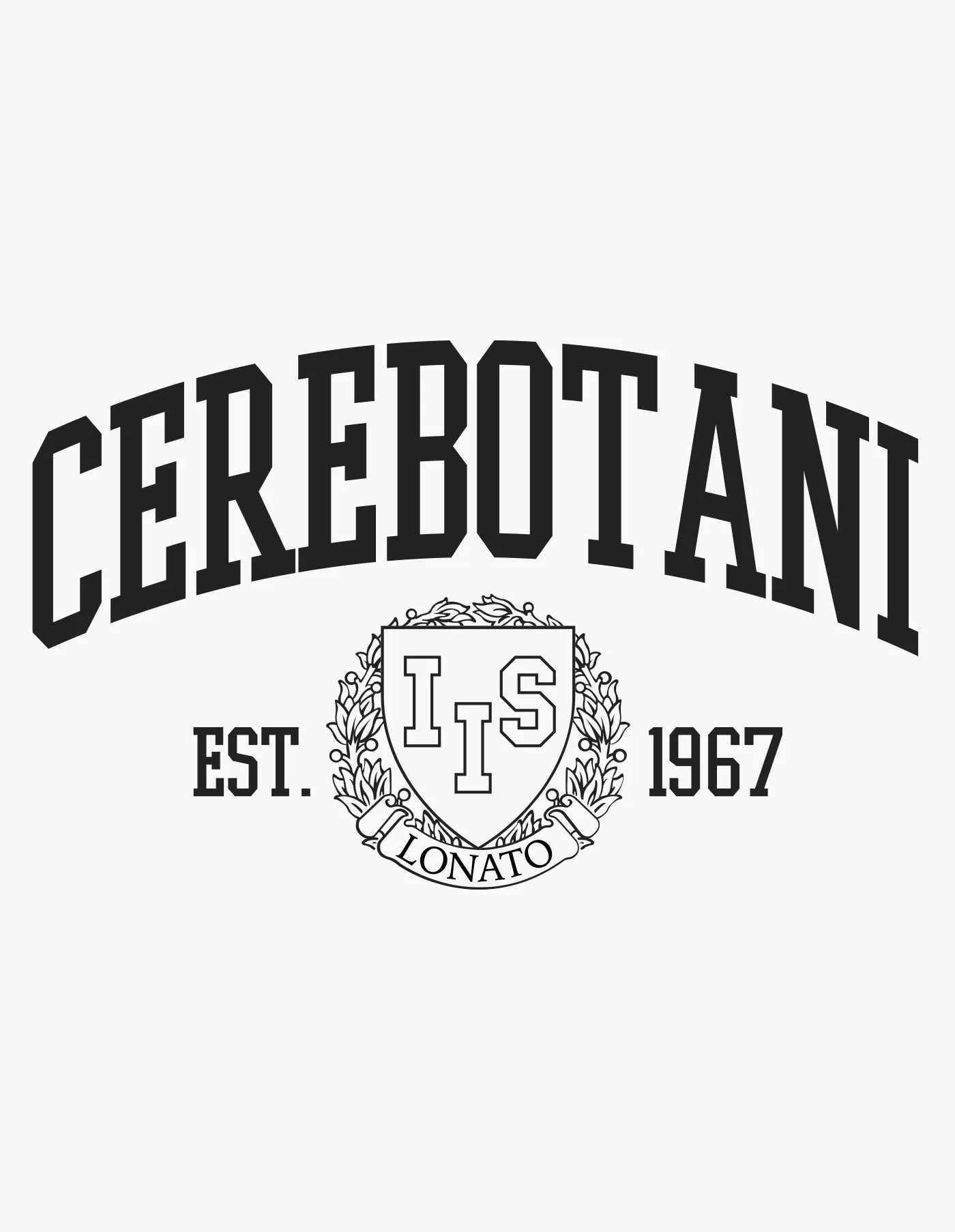 Grafica di felpe e merchandising scolastico per l'Istituto Luigi Cerebotani di Lonato (Brescia)