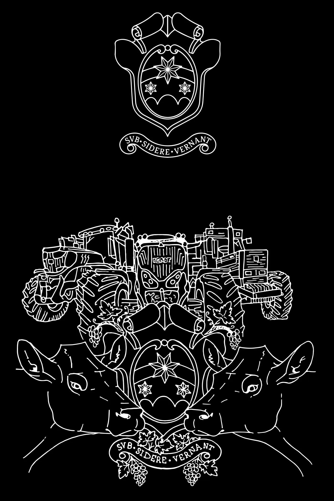 Grafica di felpe e merchandising scolastico per l'Istituto Duca degli Abruzzi di Padova