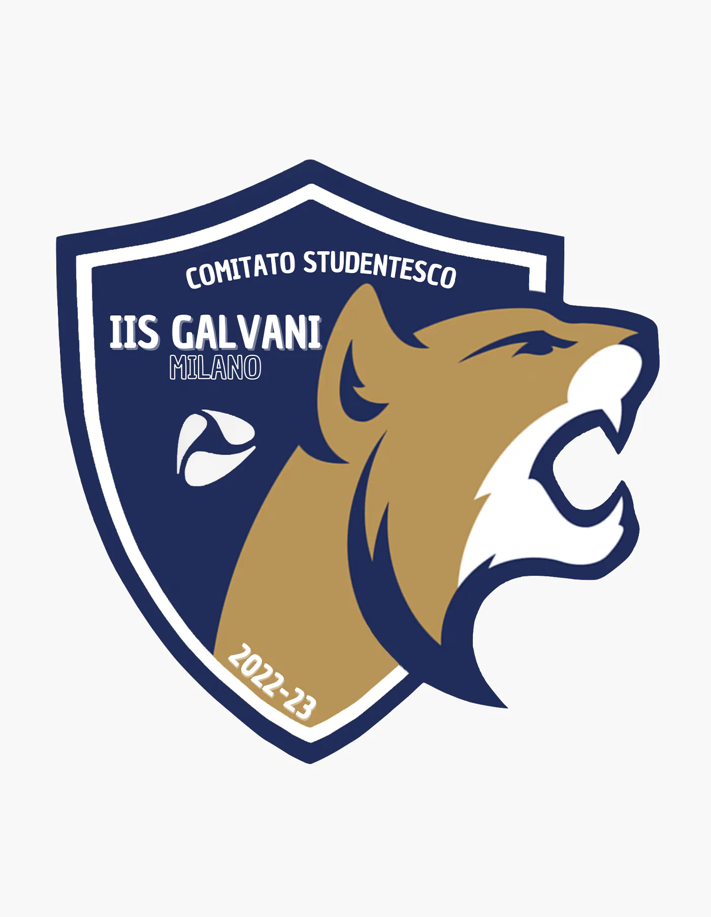 Grafica di felpe e merchandising scolastico per l'Istituto Galvani di Milano