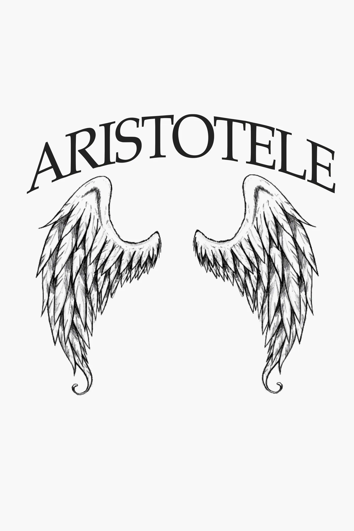 Grafica di felpe e merchandising scolastico per il Liceo Aristotele di Roma